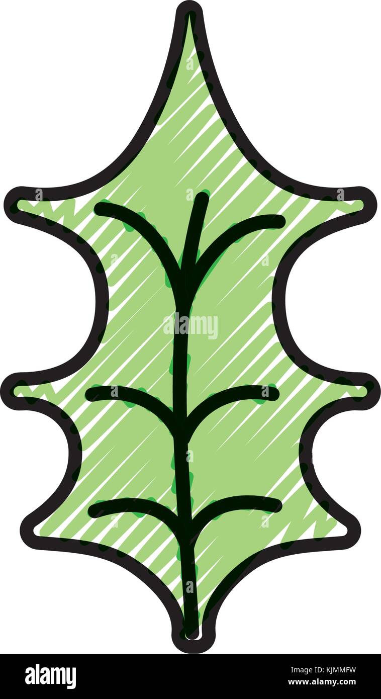 Isolated leaf design Stock Vector Image & Art - Alamy