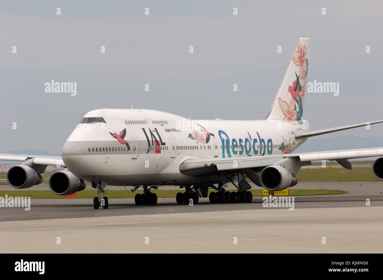 tropical birds special-livery Reso'cha Stock Photo