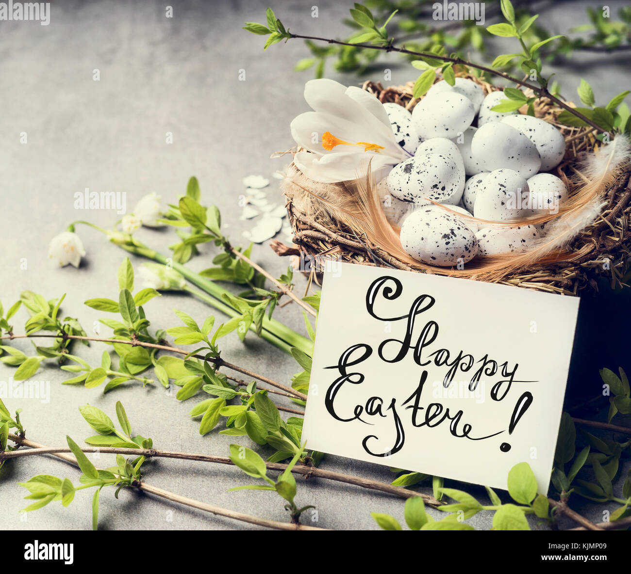 Happy Easter greeting card with bird nest and eggs Stock Photo - Alamy