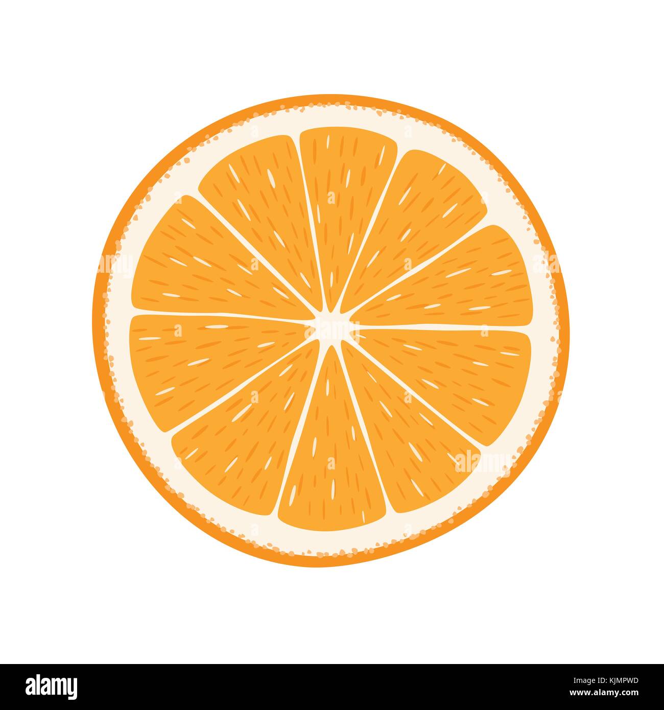 Orange fruits vector illustration Stock Vector Image & Art - Alamy