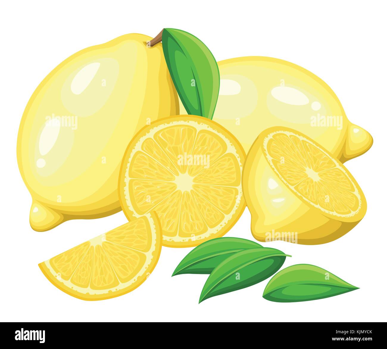 Lemon with leaves whole and slices of lemons. Vector illustration of ...