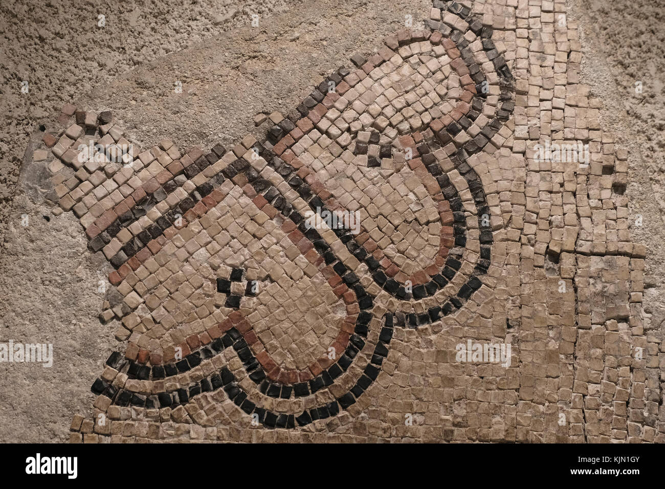 Remains of a floor mosaic uncovered at the site, which was  part of a residential quarter in the time of the Herodian Dynasty (37 BCE 70 CE) located in The Wohl Museum of Archeology also called The Herodian Quarter below the level of the present Jewish Quarter in the Old City East Jerusalem Israel. Stock Photo