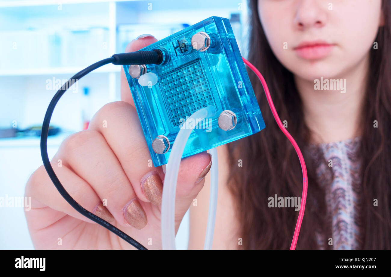 schoolgirl is experimenting with a hydrogen fuel cell Stock Photo Alamy