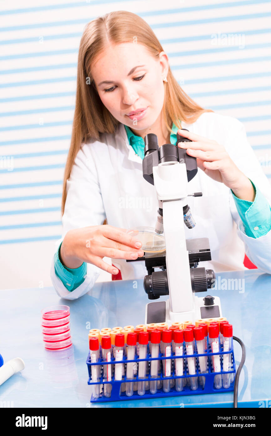 laboratory assistant examines the results of bio chemical tests Stock ...