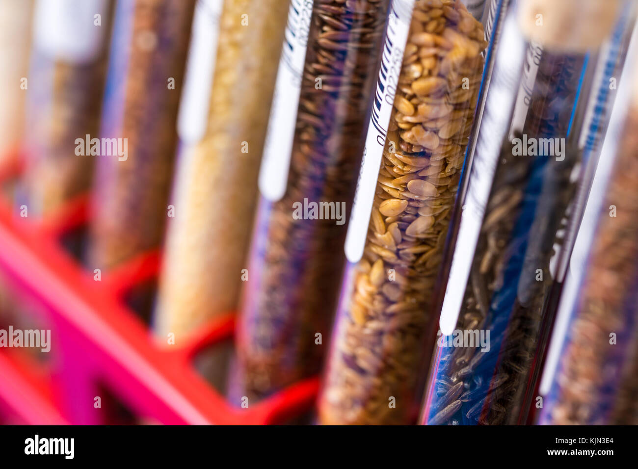 Test tubes with bar codes with seeds of selection plants Stock Photo ...