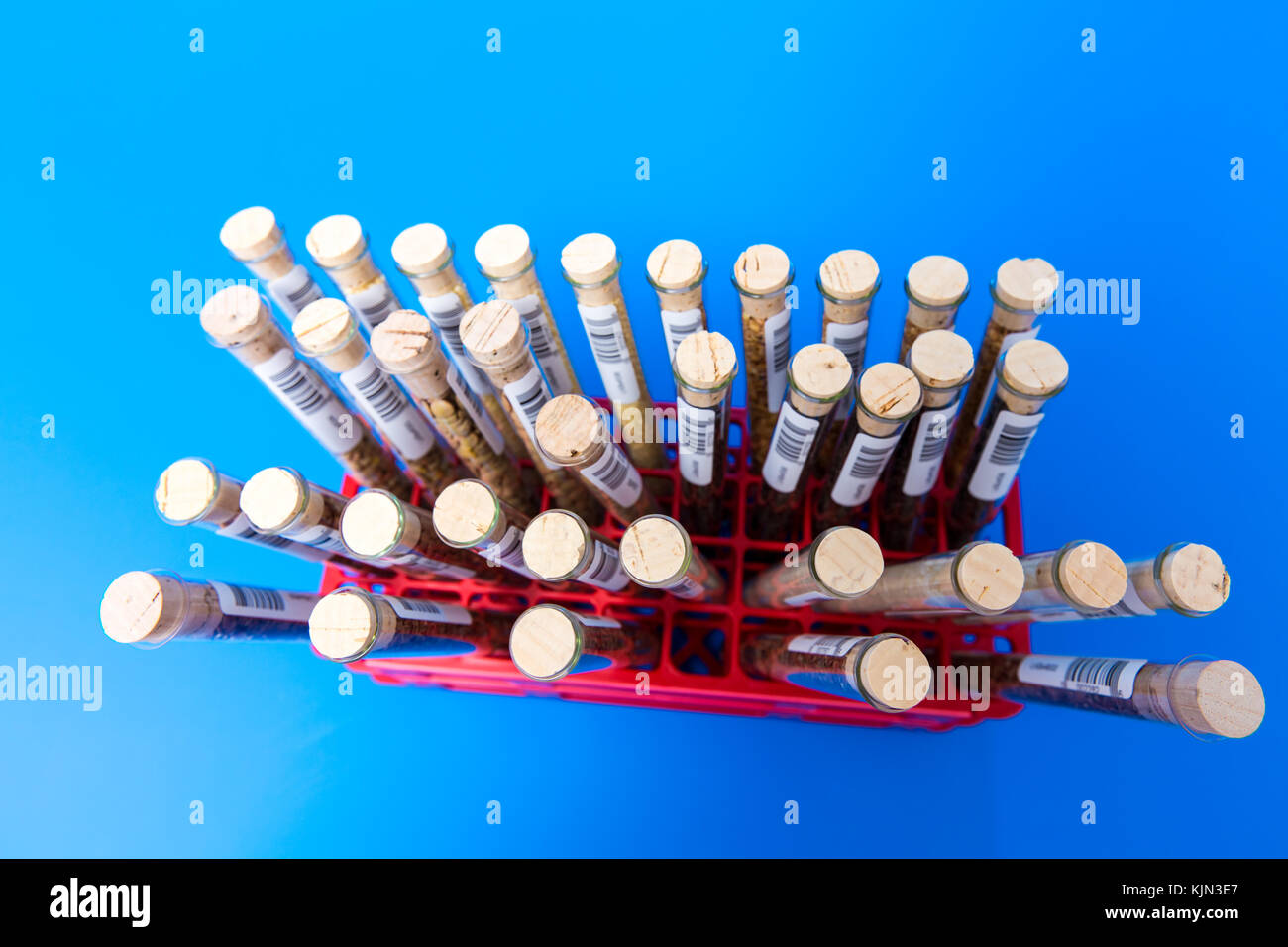 Test tubes with bar codes with seeds of selection plants Stock Photo ...
