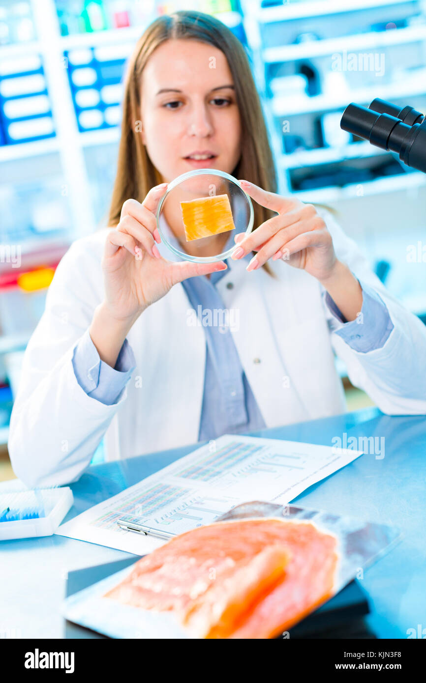 Fish research in laboratory. Food Processing and Quality Control Fish