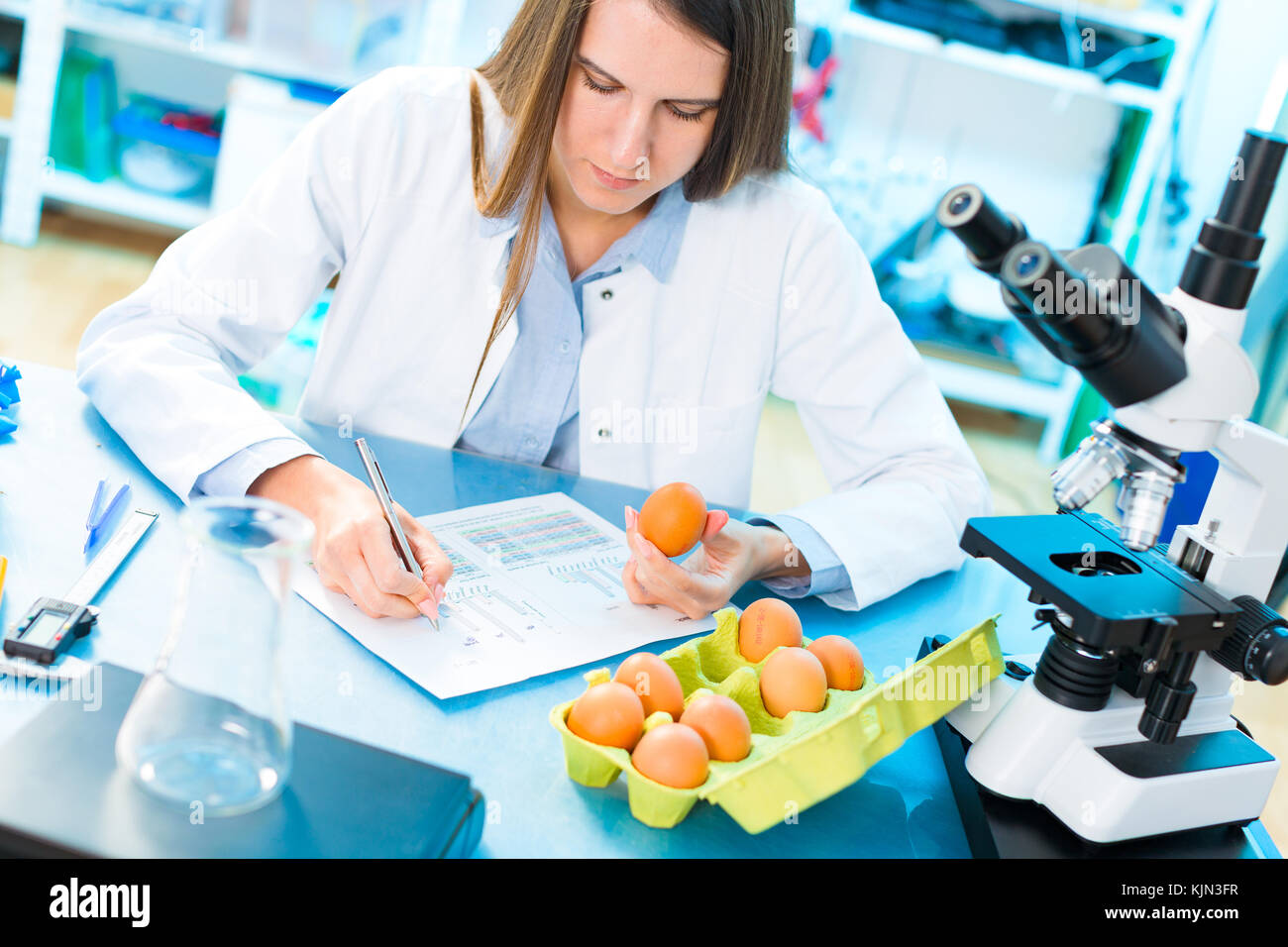 Eggs product research. Quality control processing foods Stock Photo Alamy