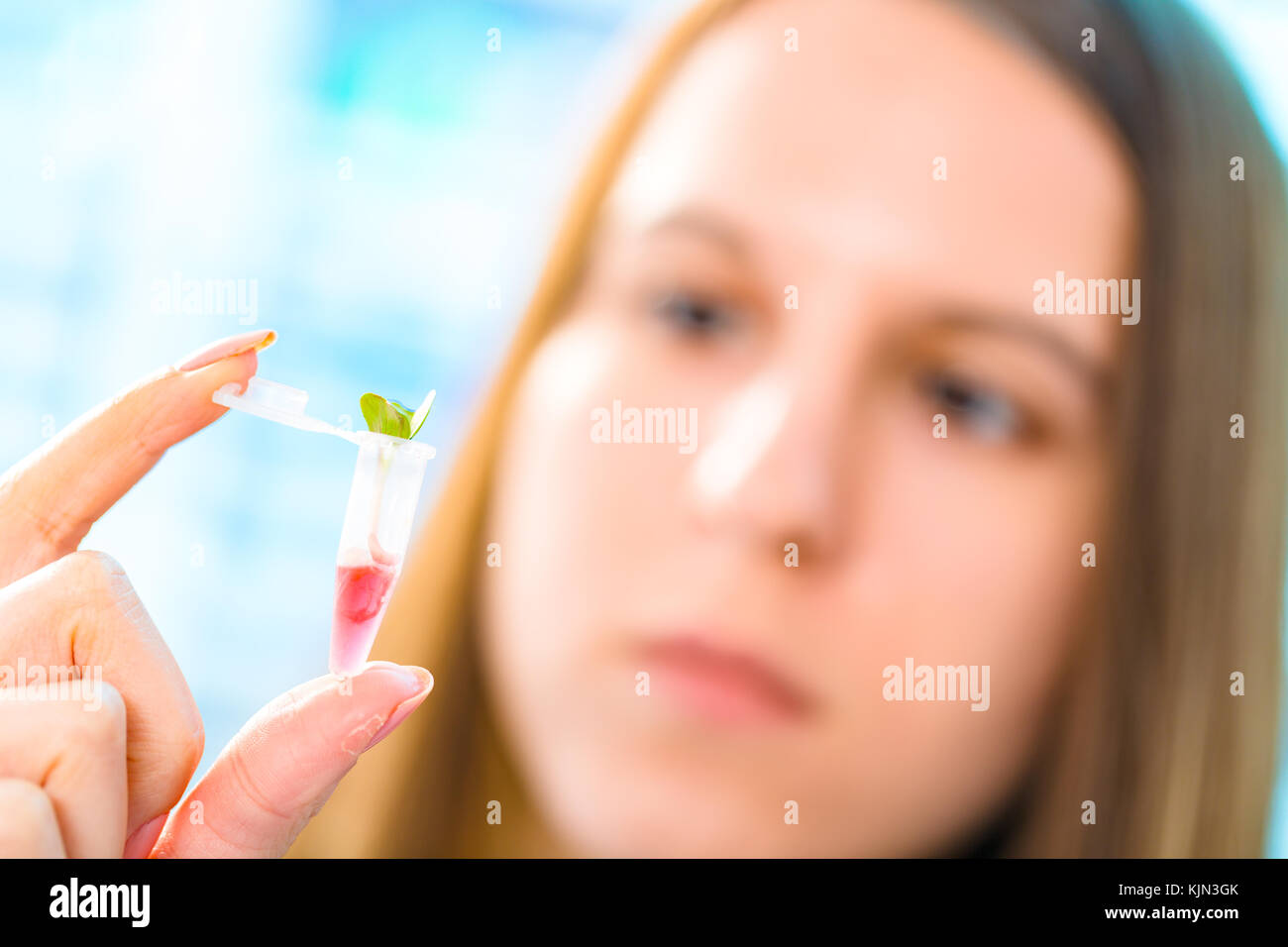 Research of photosynthesis of green plants. Food quality control of agricultural plans Stock