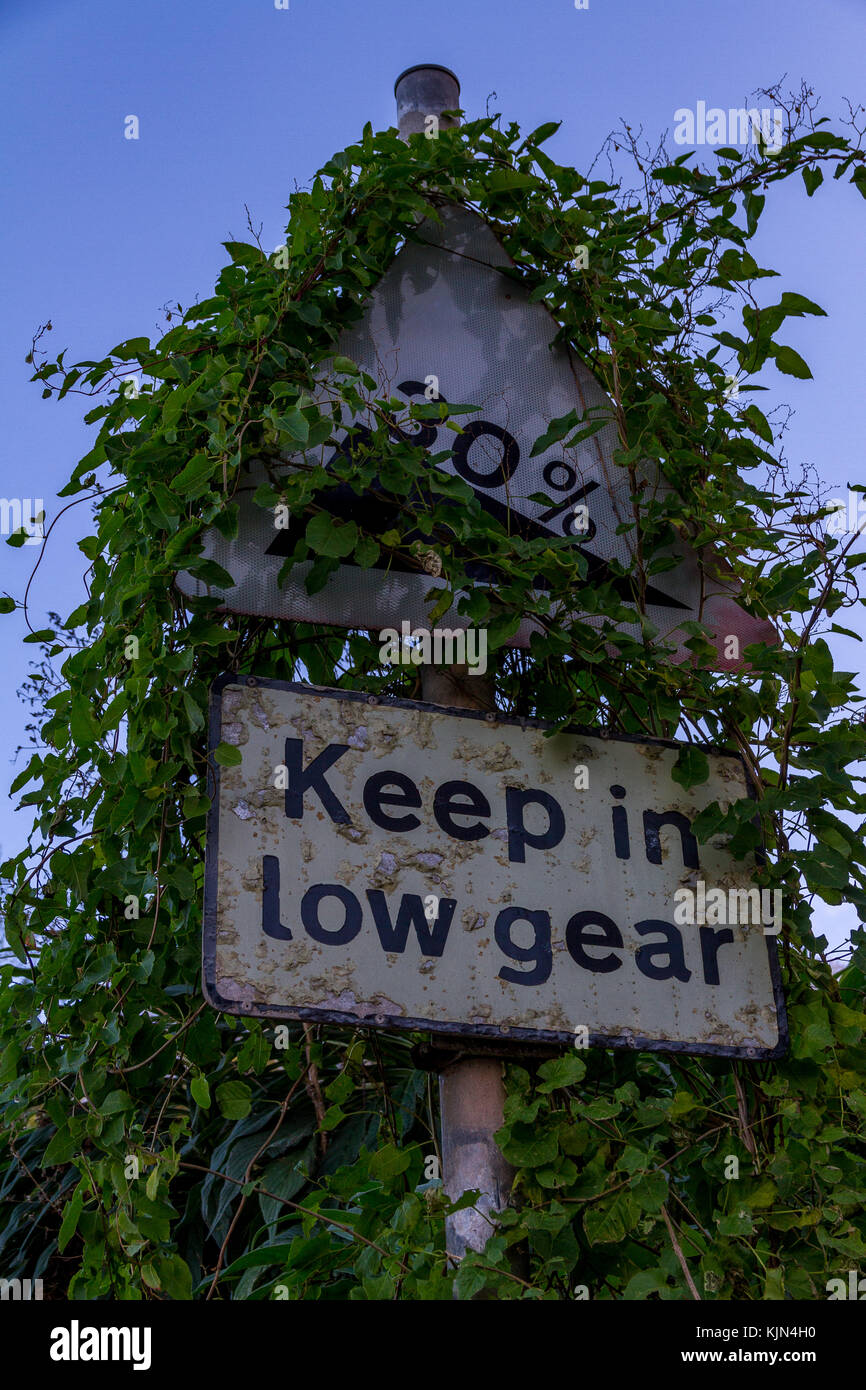 Road sign covered in Ivy, seen by the Cary Arms, Beach