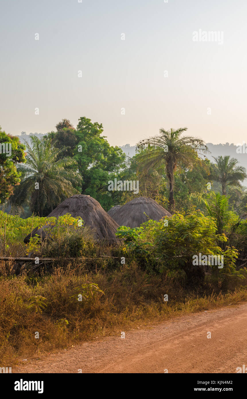 Traditional thatched round huts of Guinea Bissau hidden among trees and palms at gravel road during sunset, West Africa Stock Photo