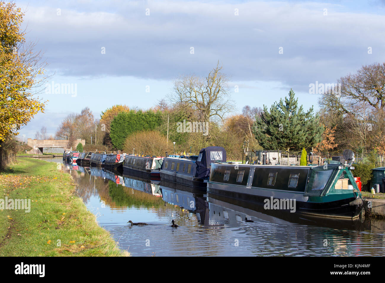 Narrow boats on The Trent and Mersey Canal in Elworth near Sandbach Cheshire UK Stock Photo