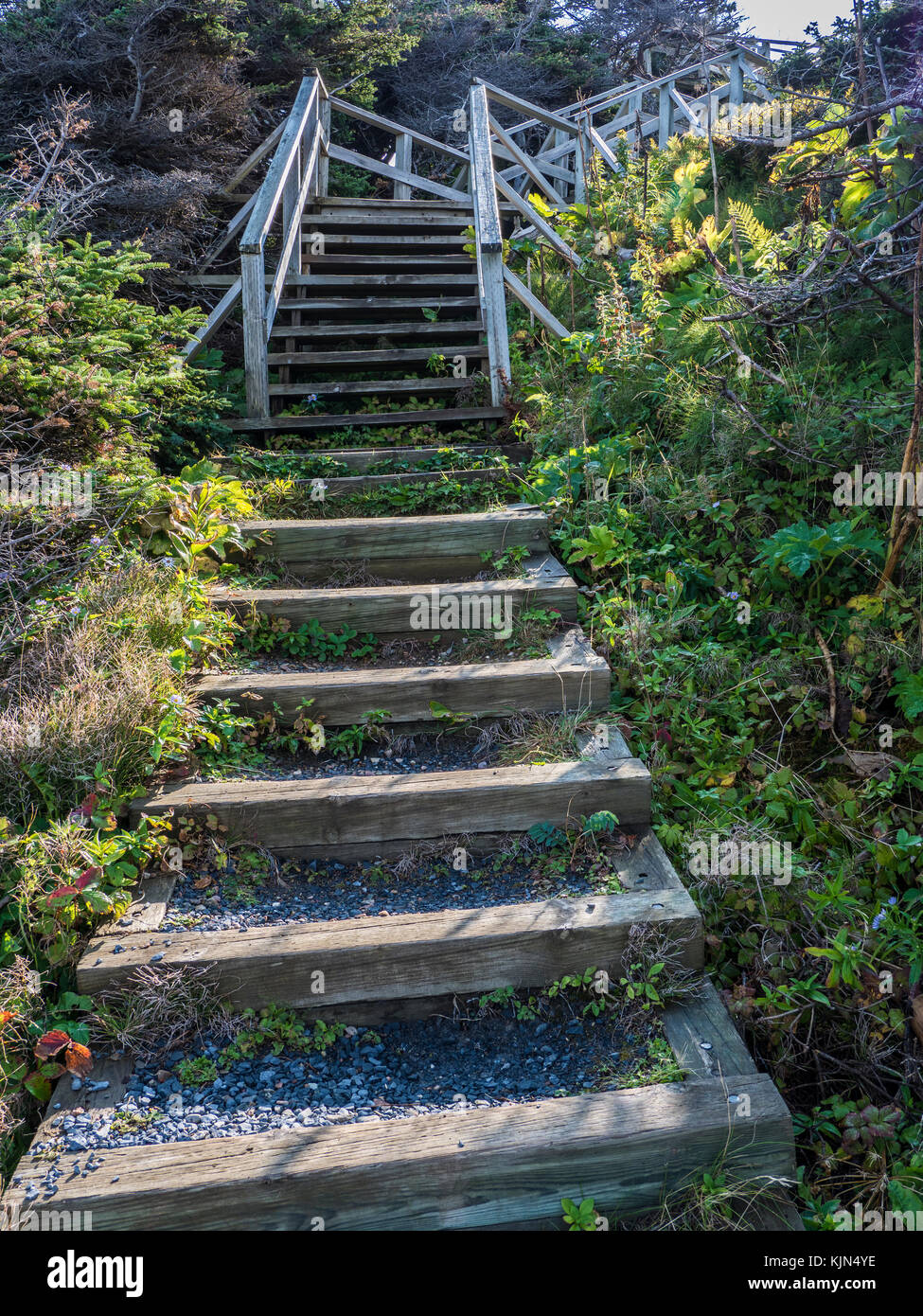 Steps down to the S.S. Ethie shipwreck site, Highway 430, the Viking Trail, Gros Morne National Park, Newfoundland, Canada. Stock Photo