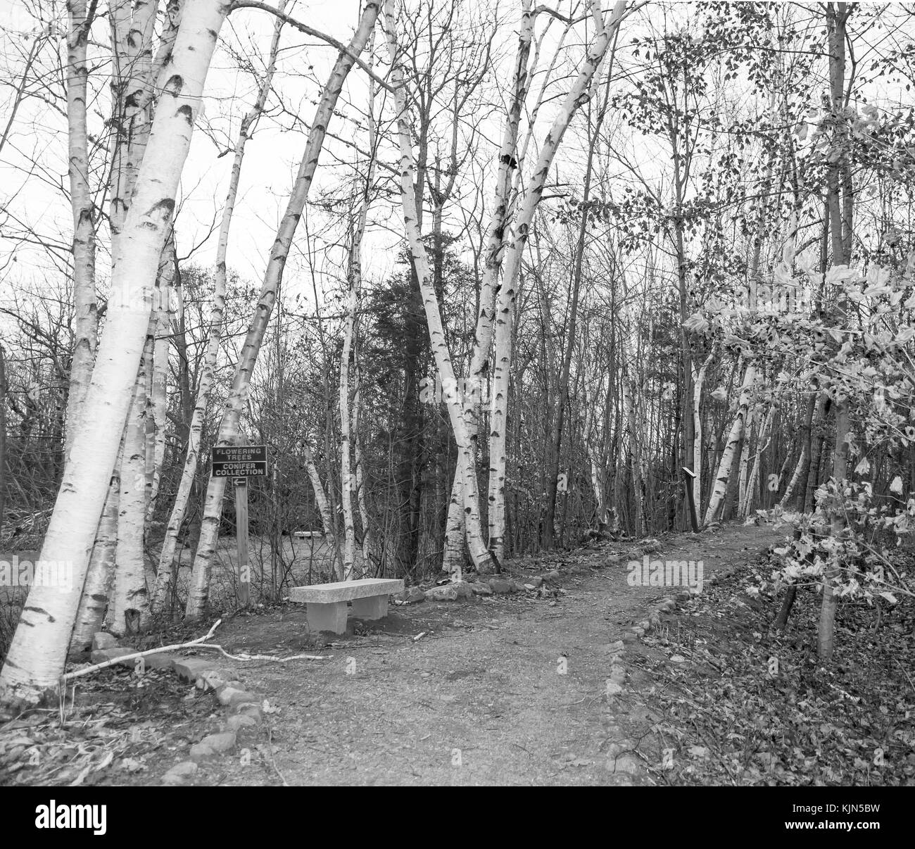Viles arboretum hires stock photography and images Alamy