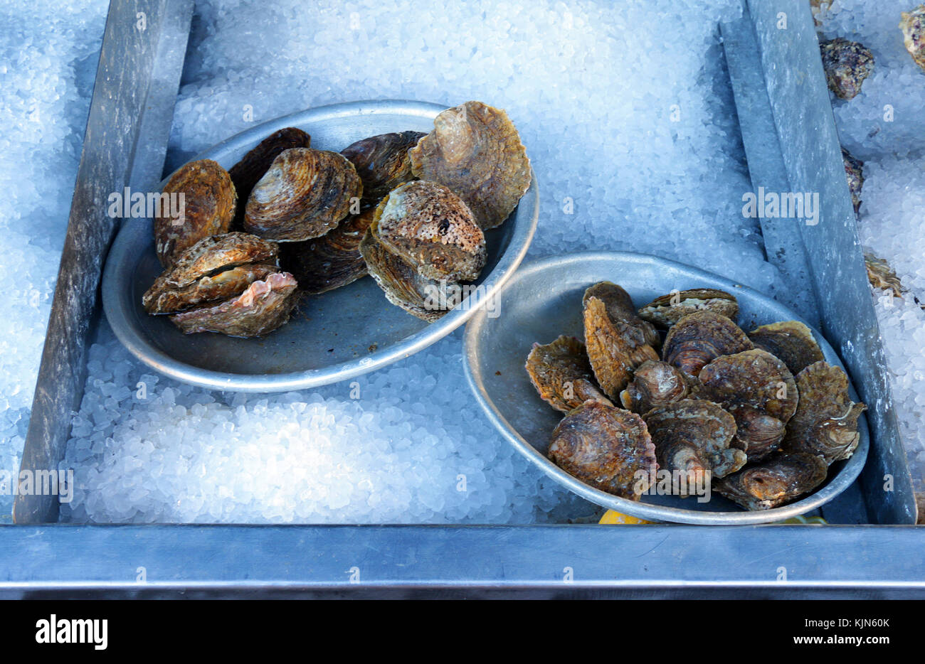 Fresh Oysters for sale on the beach at Whitstable Stock Photo Alamy