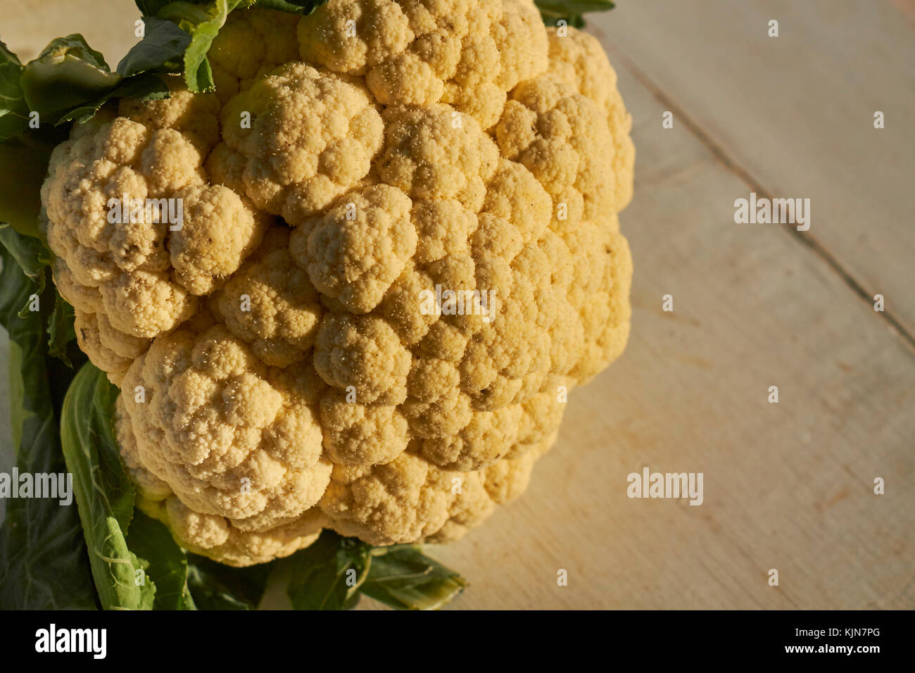 a head of yellow cauliflower Stock Photo