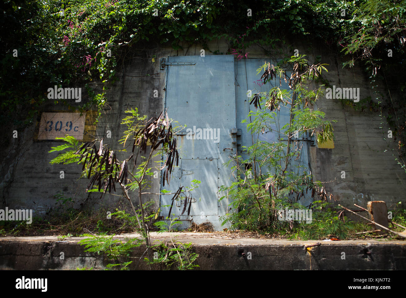 Old Navy bunkers, Vieques, Puerto Rico Stock Photo Alamy