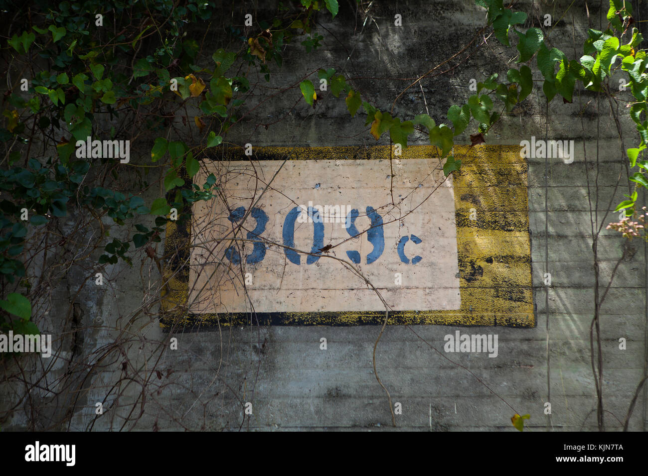 Old Navy bunkers, Vieques, Puerto Rico Stock Photo Alamy
