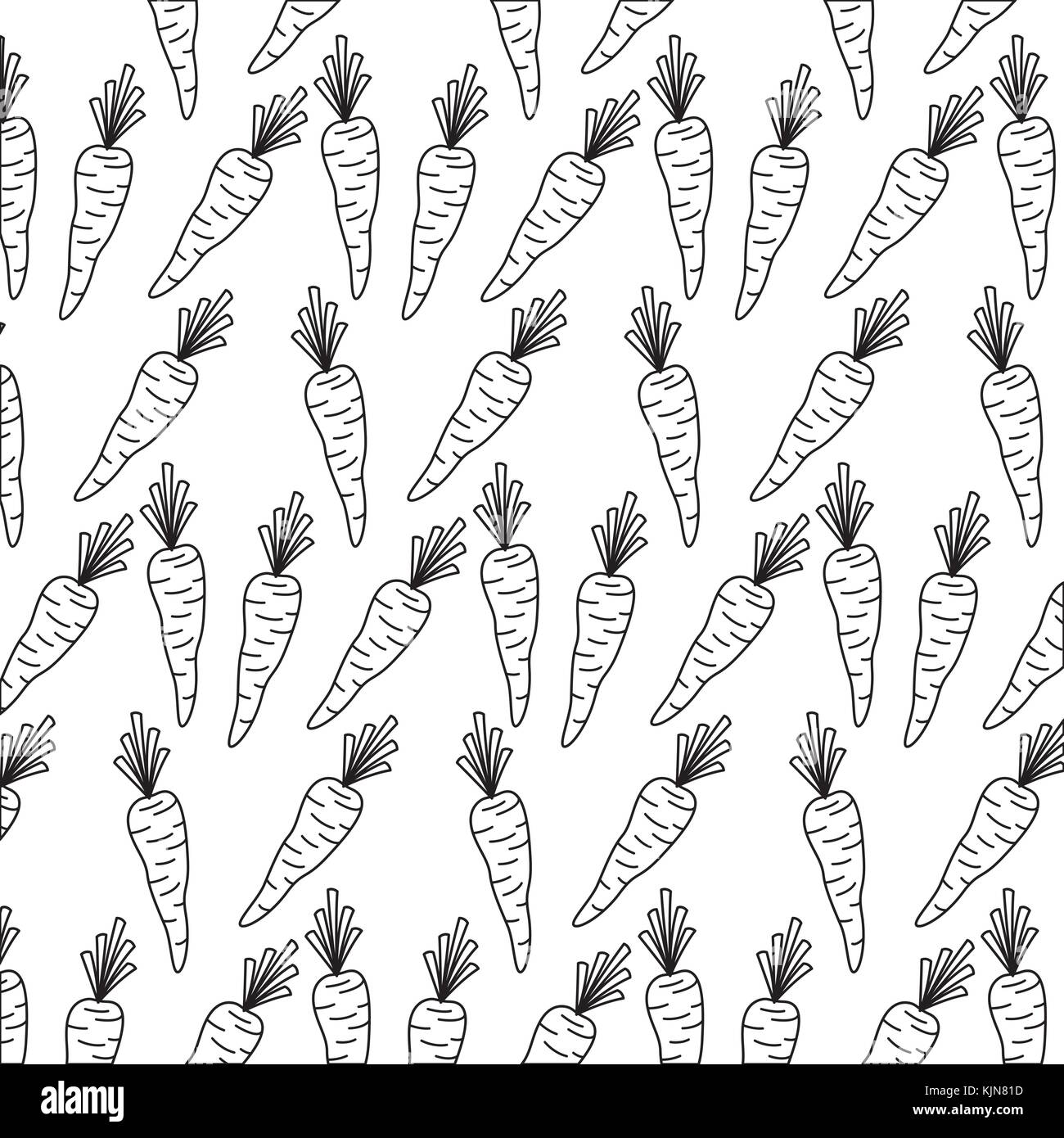 Carrot Black and White Stock Photos & Images - Alamy