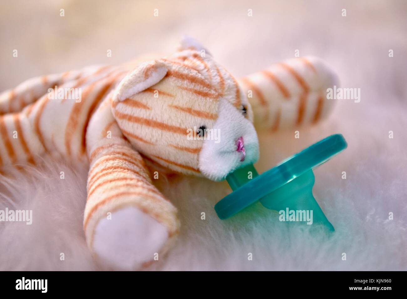 Animal pacifier hires stock photography and images Alamy