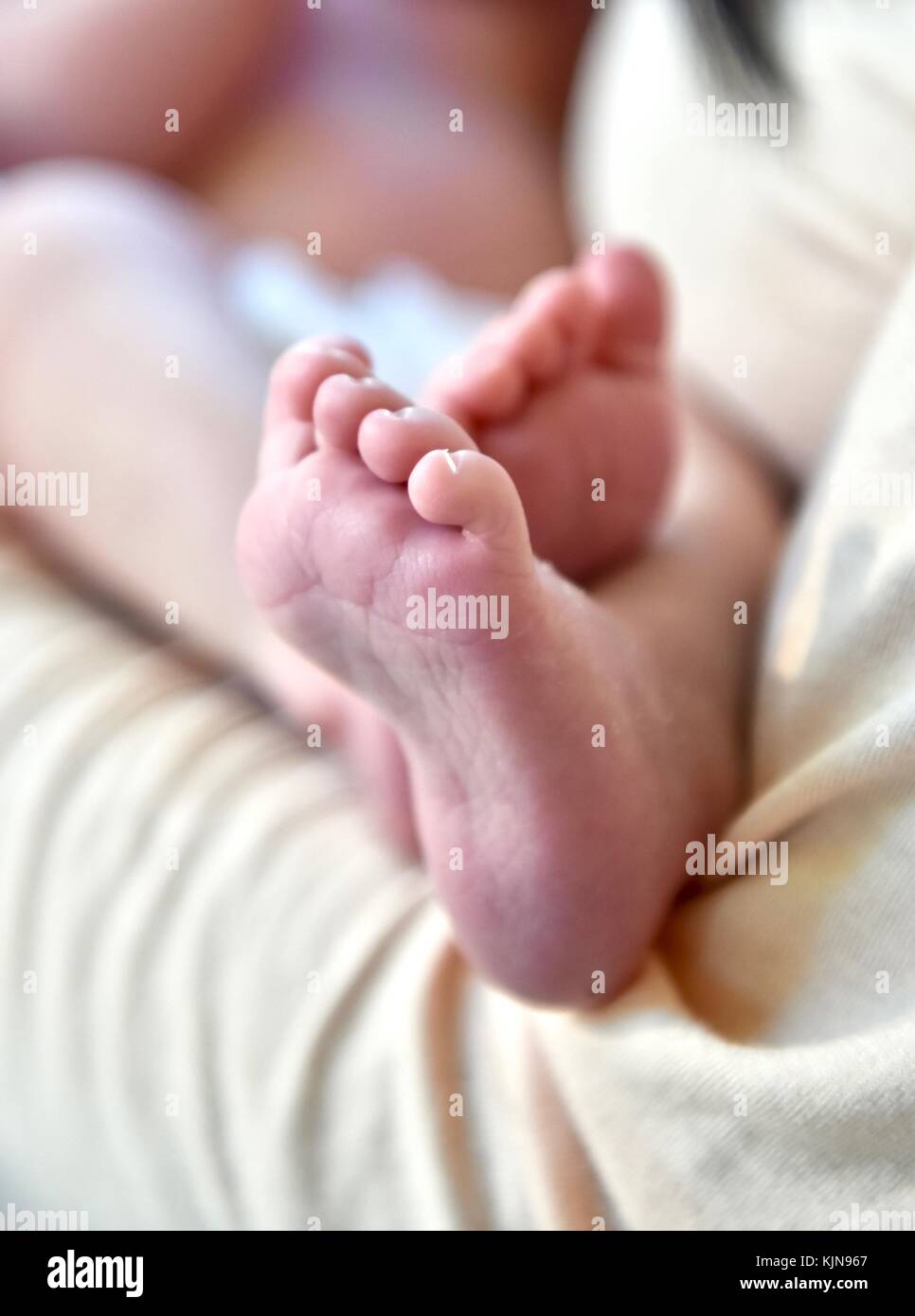 Newborn baby feet with cute little toes Stock Photo Alamy