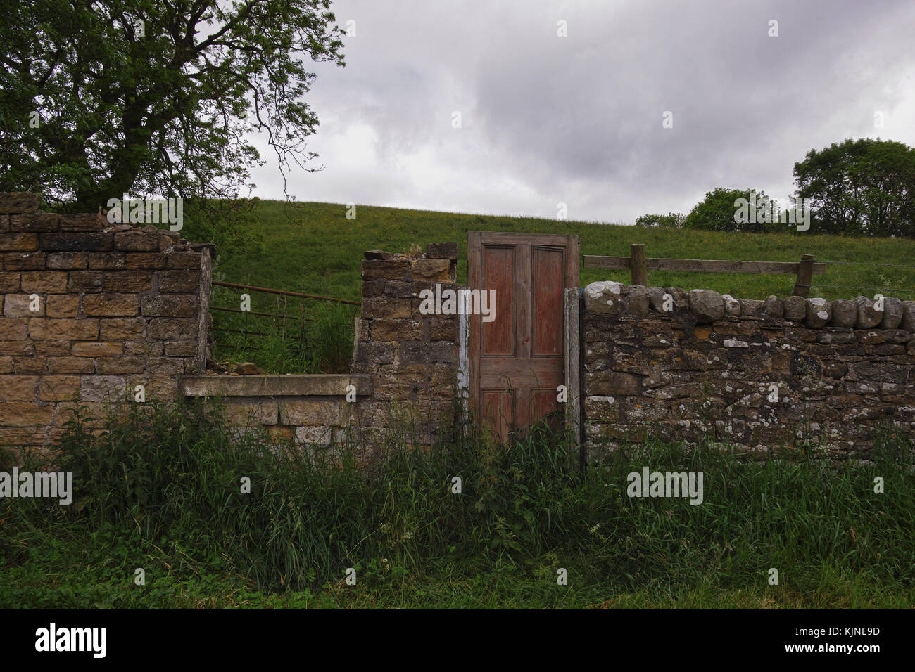 Doorway to the countryside, in Weardale in County Durham, North east England. A wooden door is incorporated into the drystone wall. Stock Photo