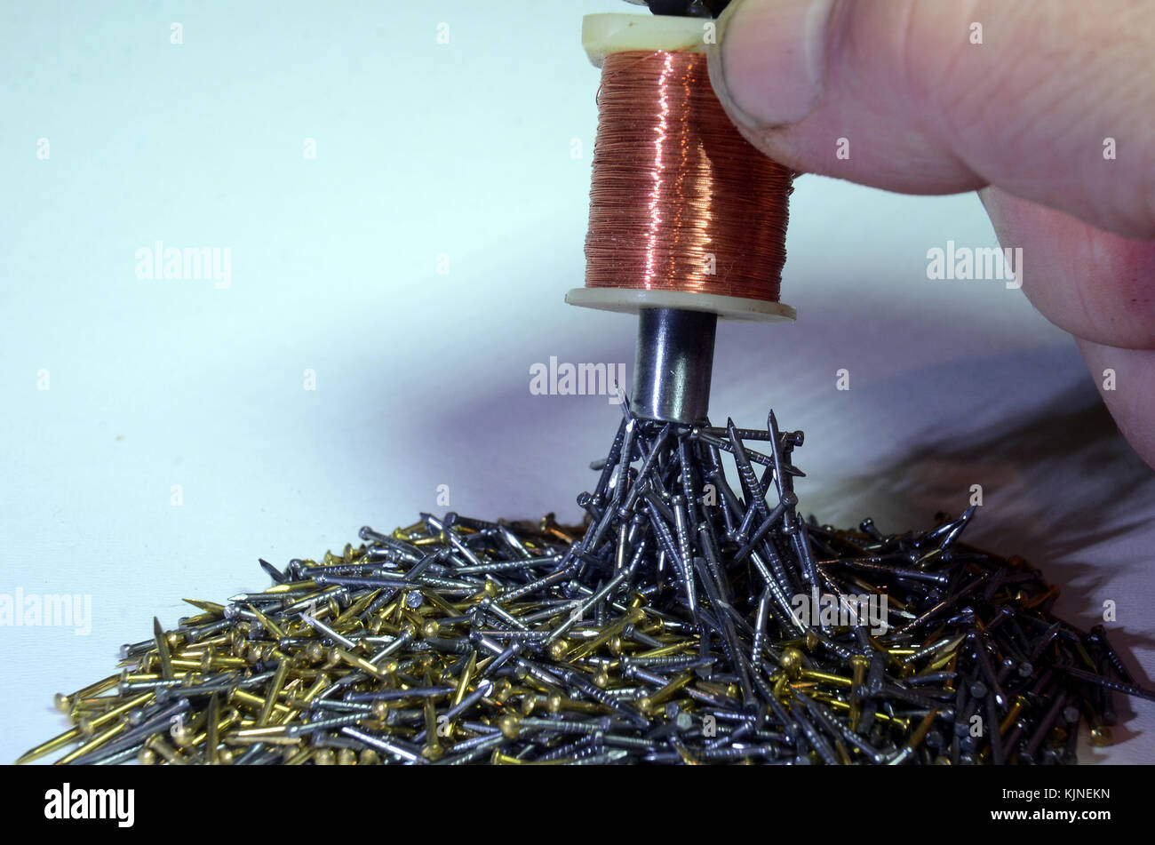 A mix of brass and iron nails are easily sorted with an electromagnet.. Stock Photo