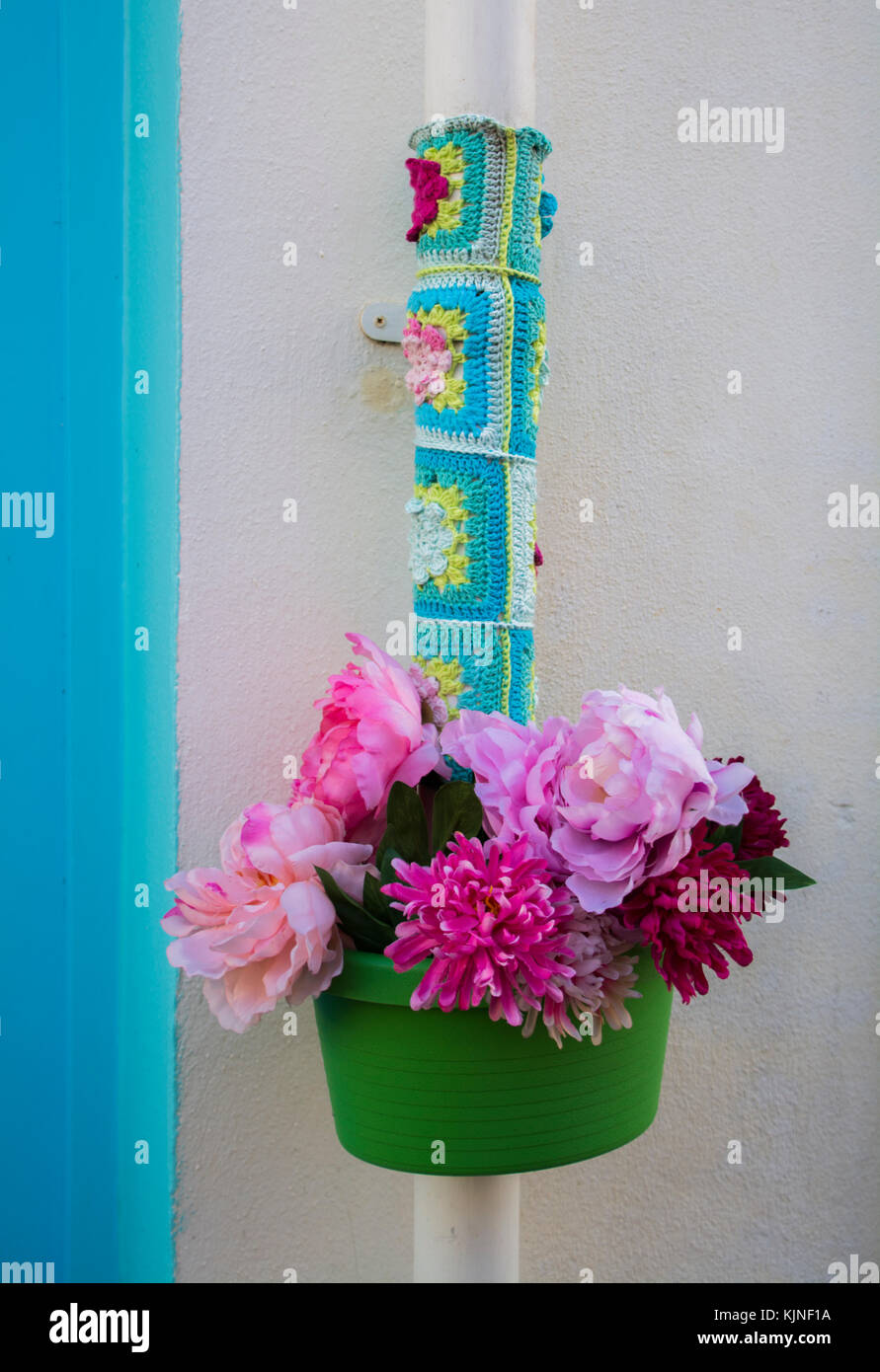 isle of man, flowers Stock Photo Alamy