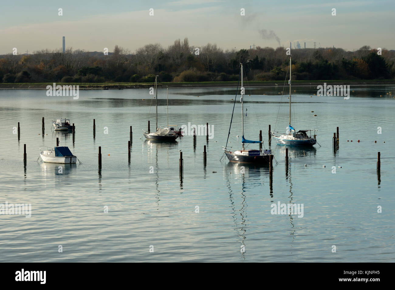 Yachts moored on pile moorings in Porchester Creek, Portsmouth Harbour UK Stock Photo