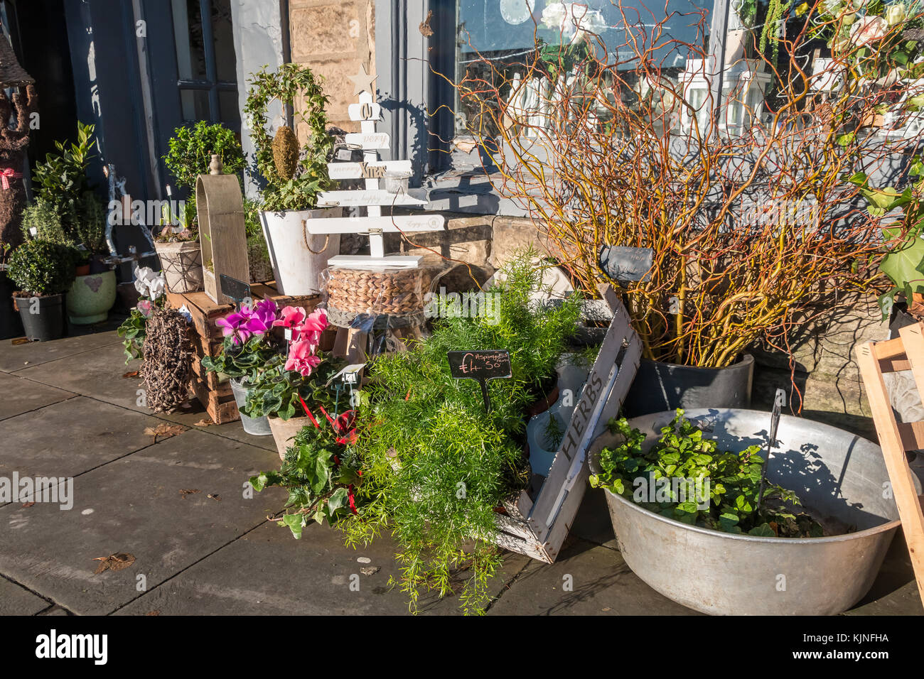 A florist shop window and street display of flowers, plants, gifts and flower arranging materials in bright winter sunshine Stock Photo