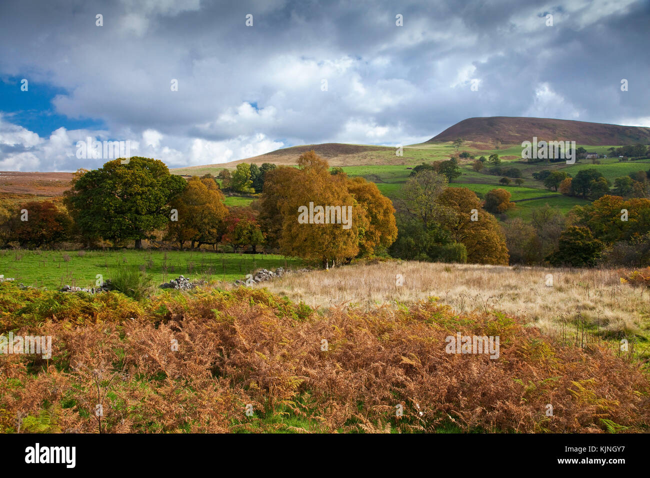 Autumn landscape below Easterside Hill, North York Moors national park,North Yorkshire, UK Stock Photo