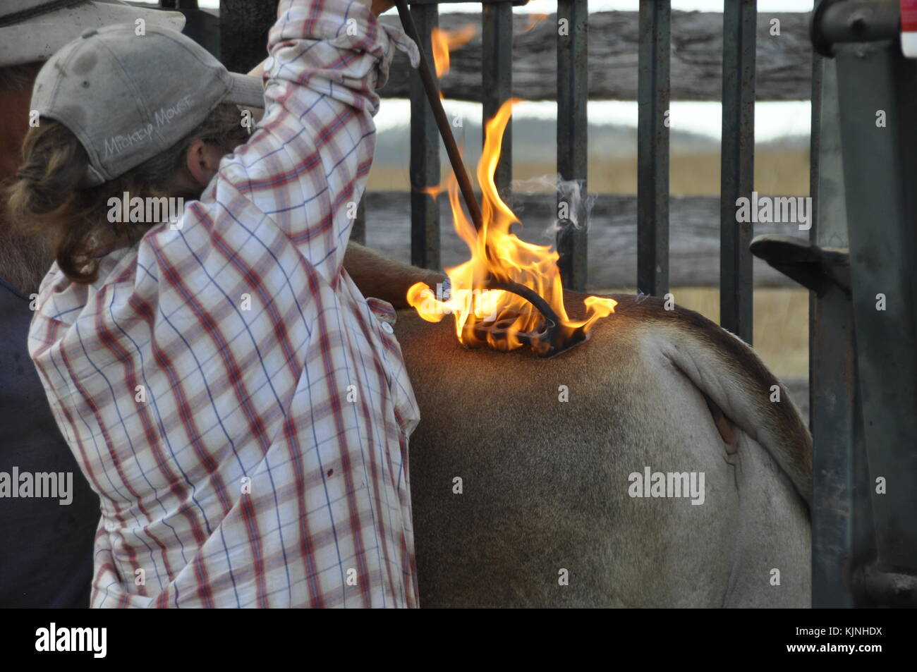 Branding iron hi-res stock photography and images - Alamy