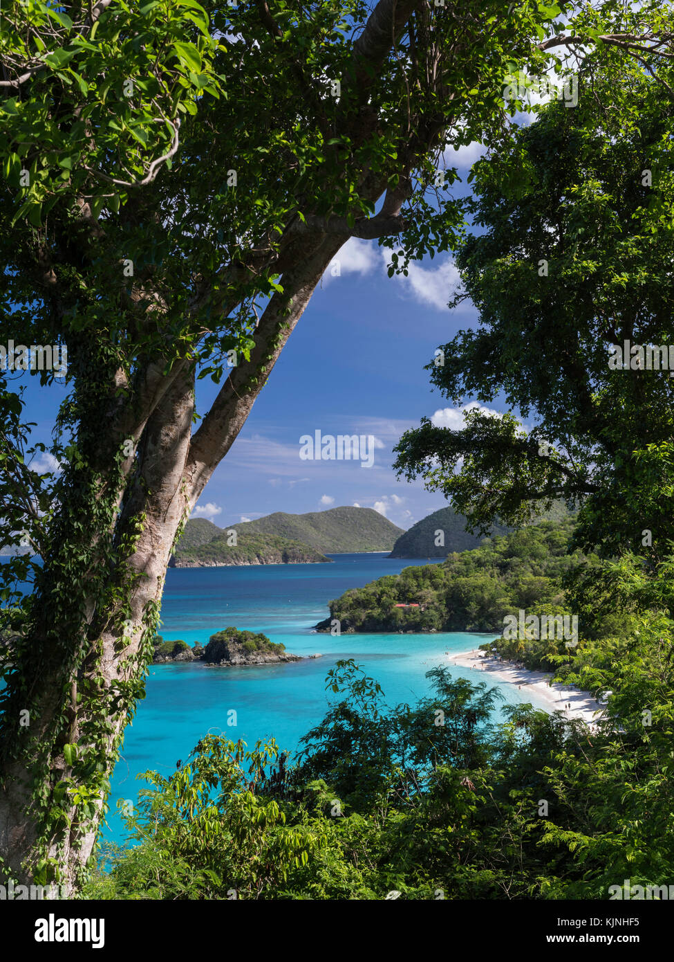 Trunk Bay overview, St. John, US Virgin Islands National Park Stock Photo