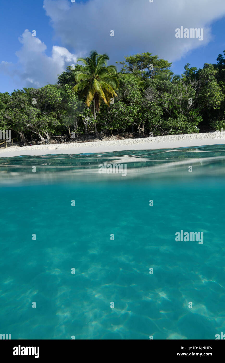 Trunk Bay in the water, St. John, US Virgin Islands National Park Stock