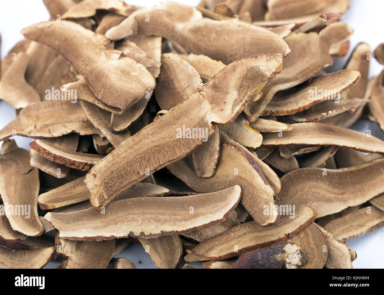 Ganoderma Lucidum High Resolution Stock Photography and Images Alamy