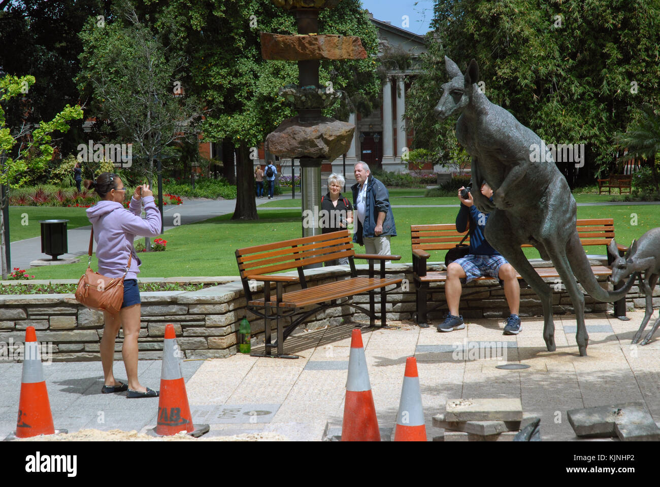 Kangaroo statues perth western australia hires stock photography and