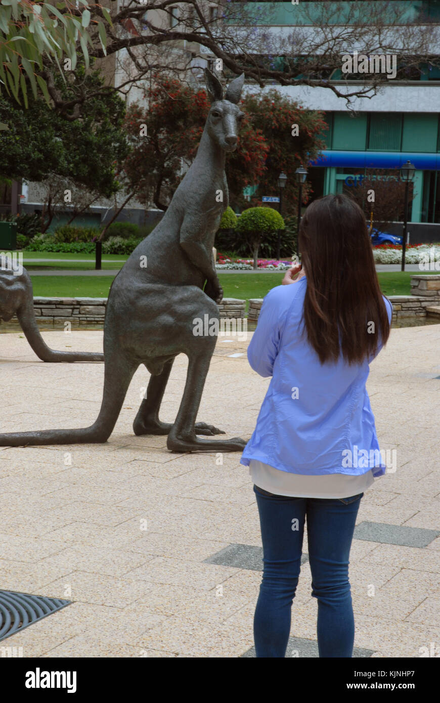 A bronze sculpture of a kangaroo in the CBD of Perth, Western Australia Stock Photo Alamy