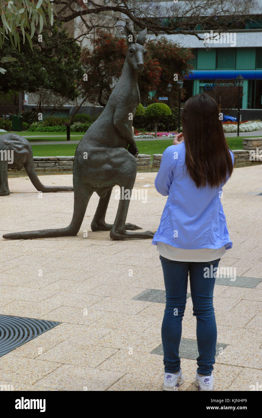 A bronze sculpture of a kangaroo in the CBD of Perth, Western Australia Stock Photo Alamy