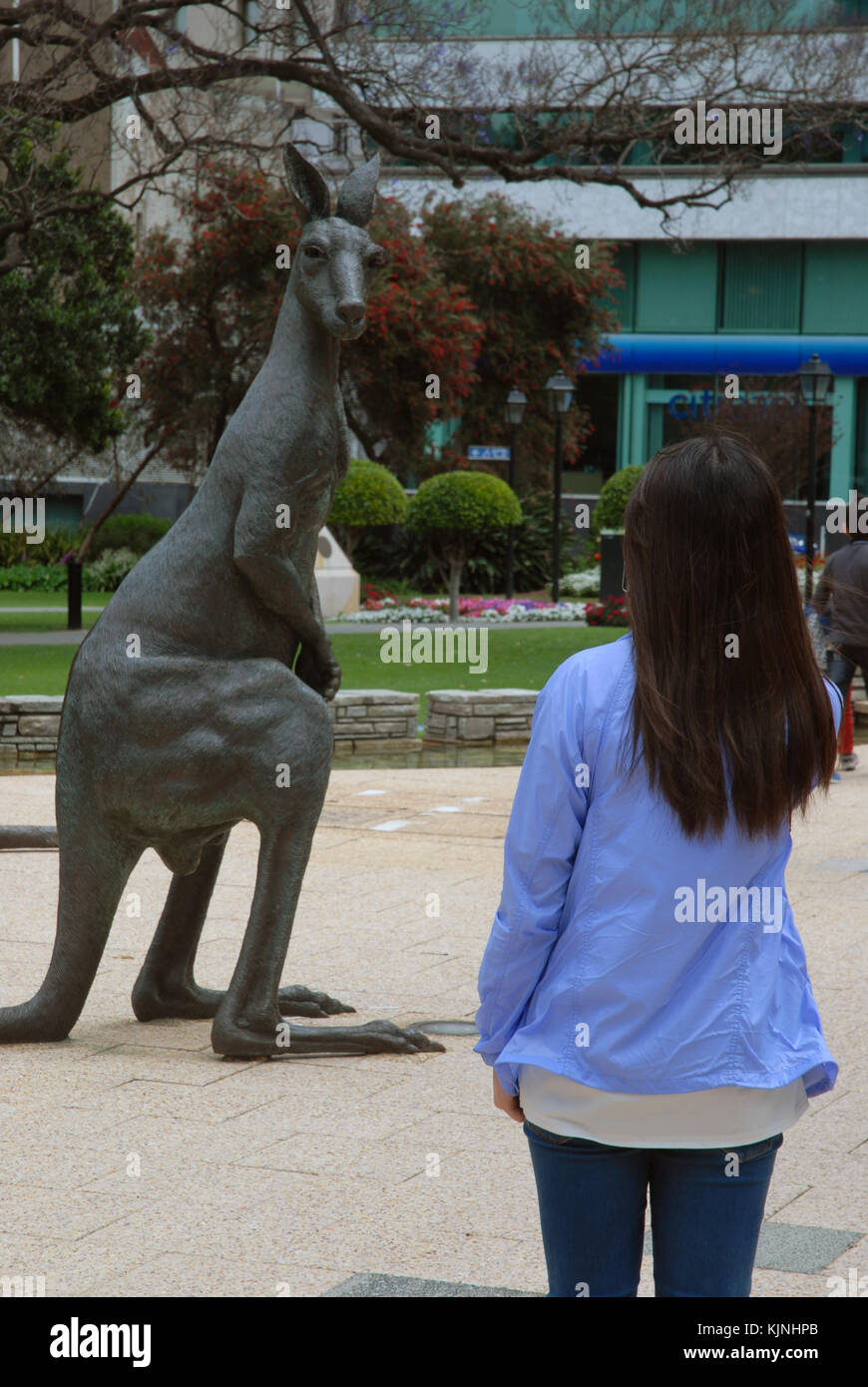 A bronze sculpture of a kangaroo in the CBD of Perth, Western Australia Stock Photo Alamy