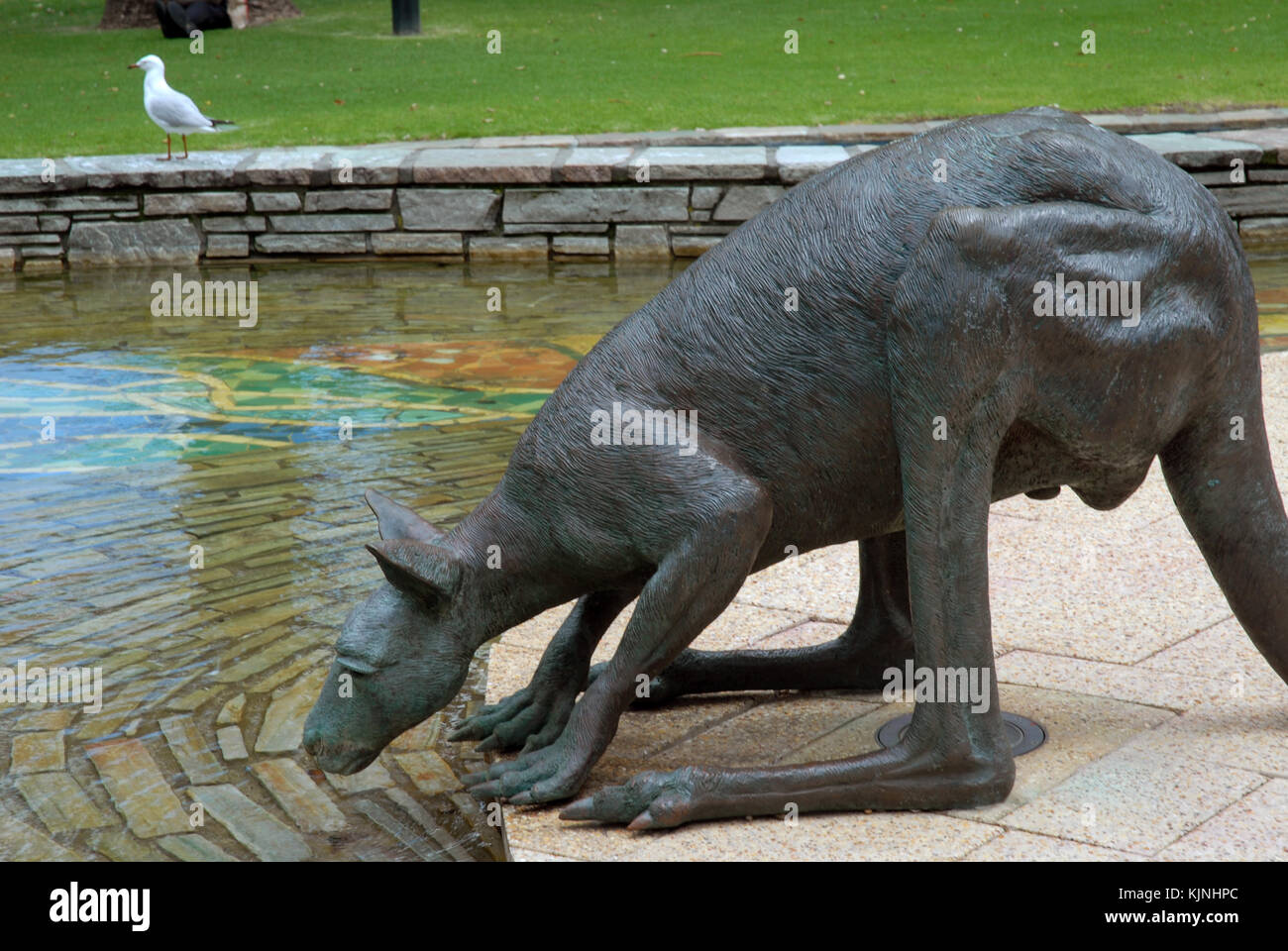 A bronze sculpture of a kangaroo in the CBD of Perth, Western Australia Stock Photo Alamy