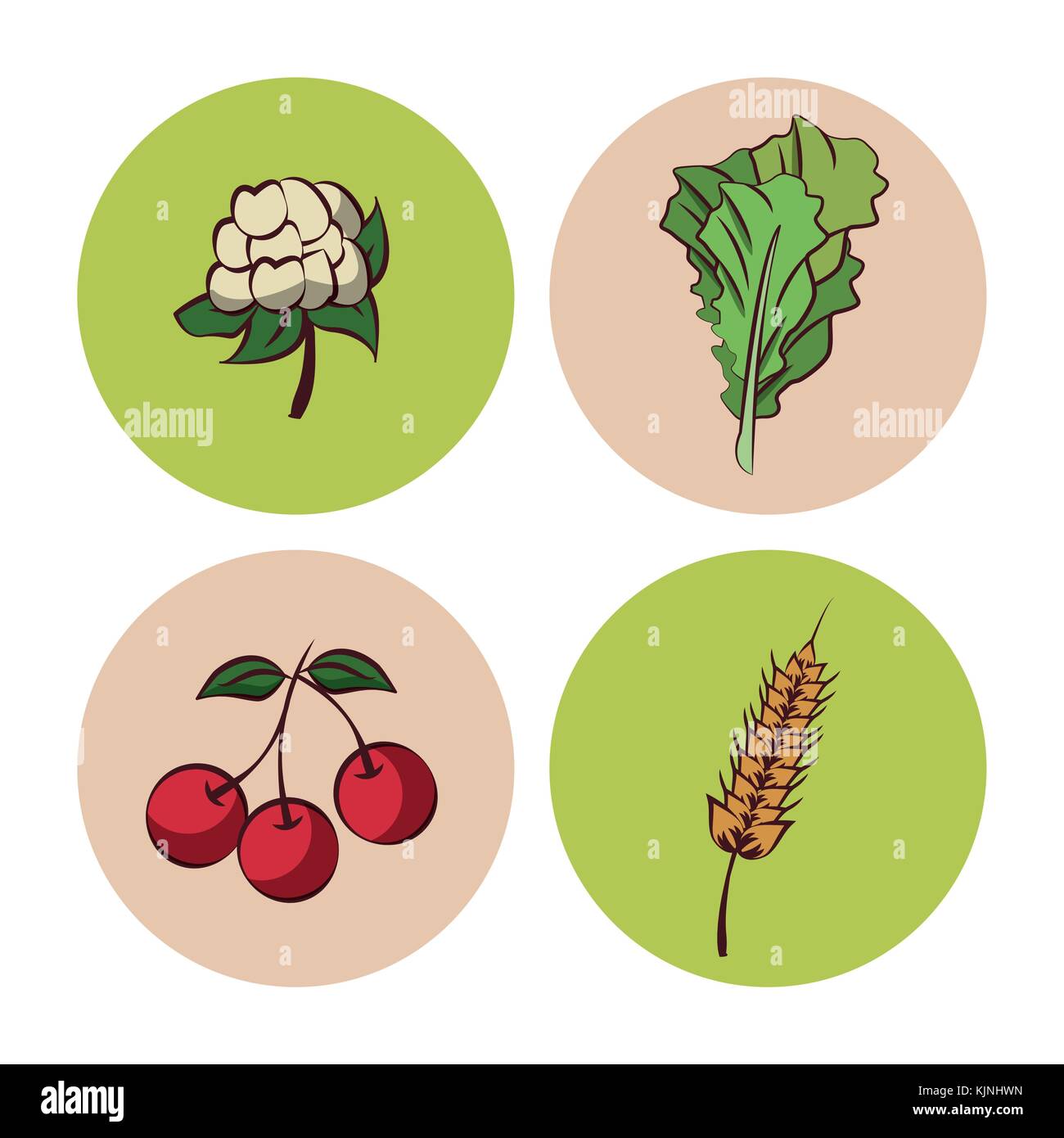 Vegetables icons set Stock Vector Image & Art - Alamy