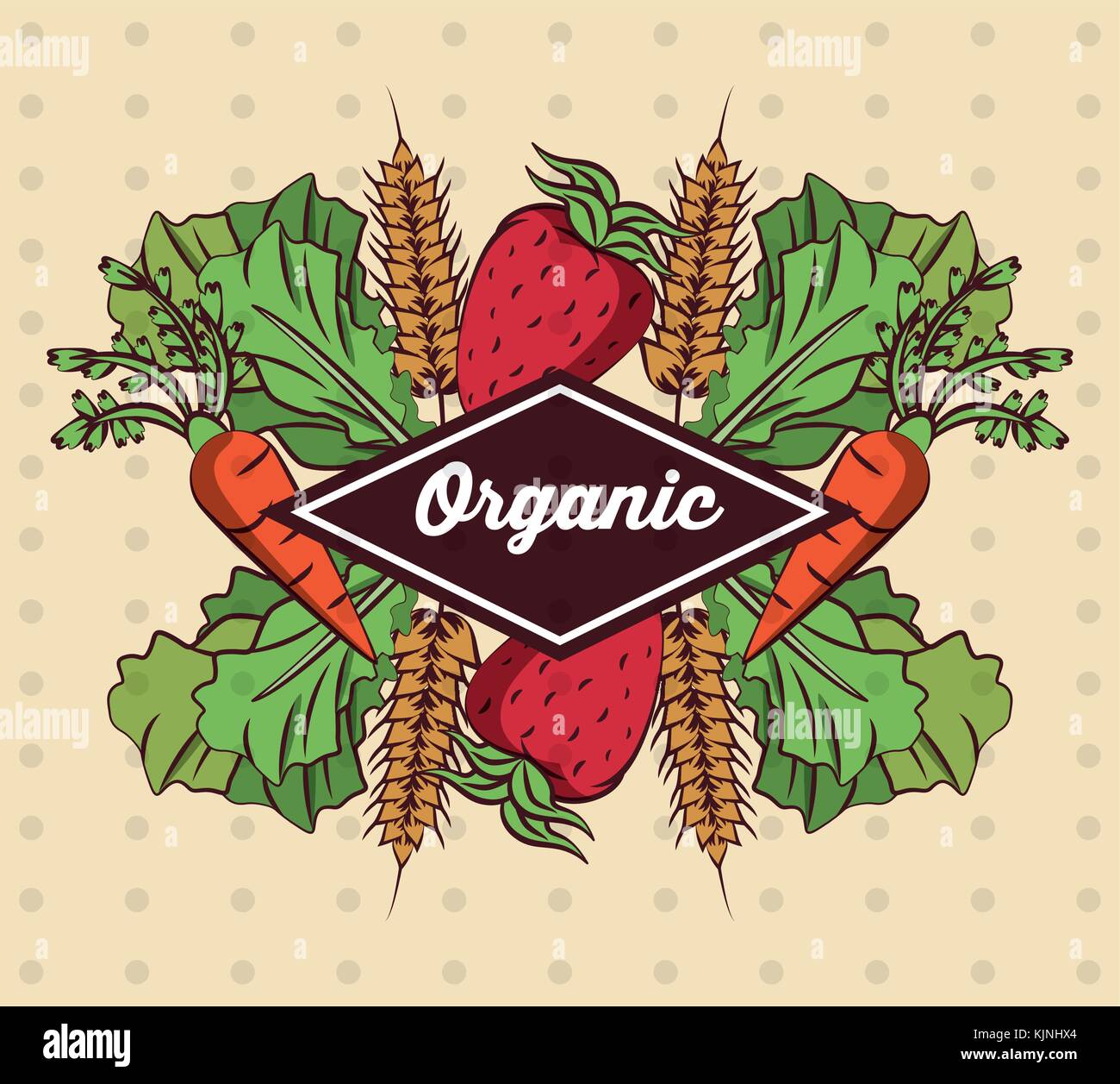 Fresh Organic vegetables Stock Vector Image & Art - Alamy
