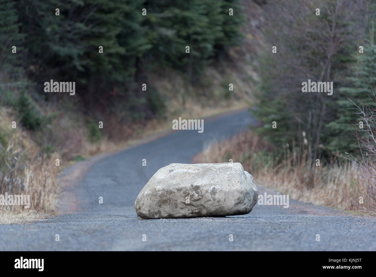 Fallen boulder on a road in Wallowa - Whitman National Forest, Oregon. Stock Photo