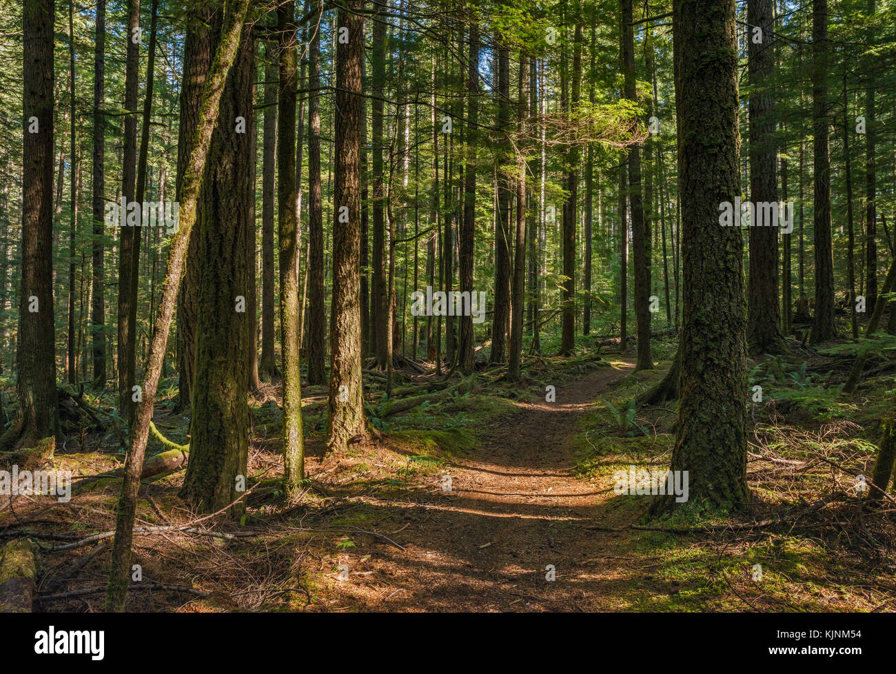 Homestead Trail, part of Community Centre Trail System, temperate