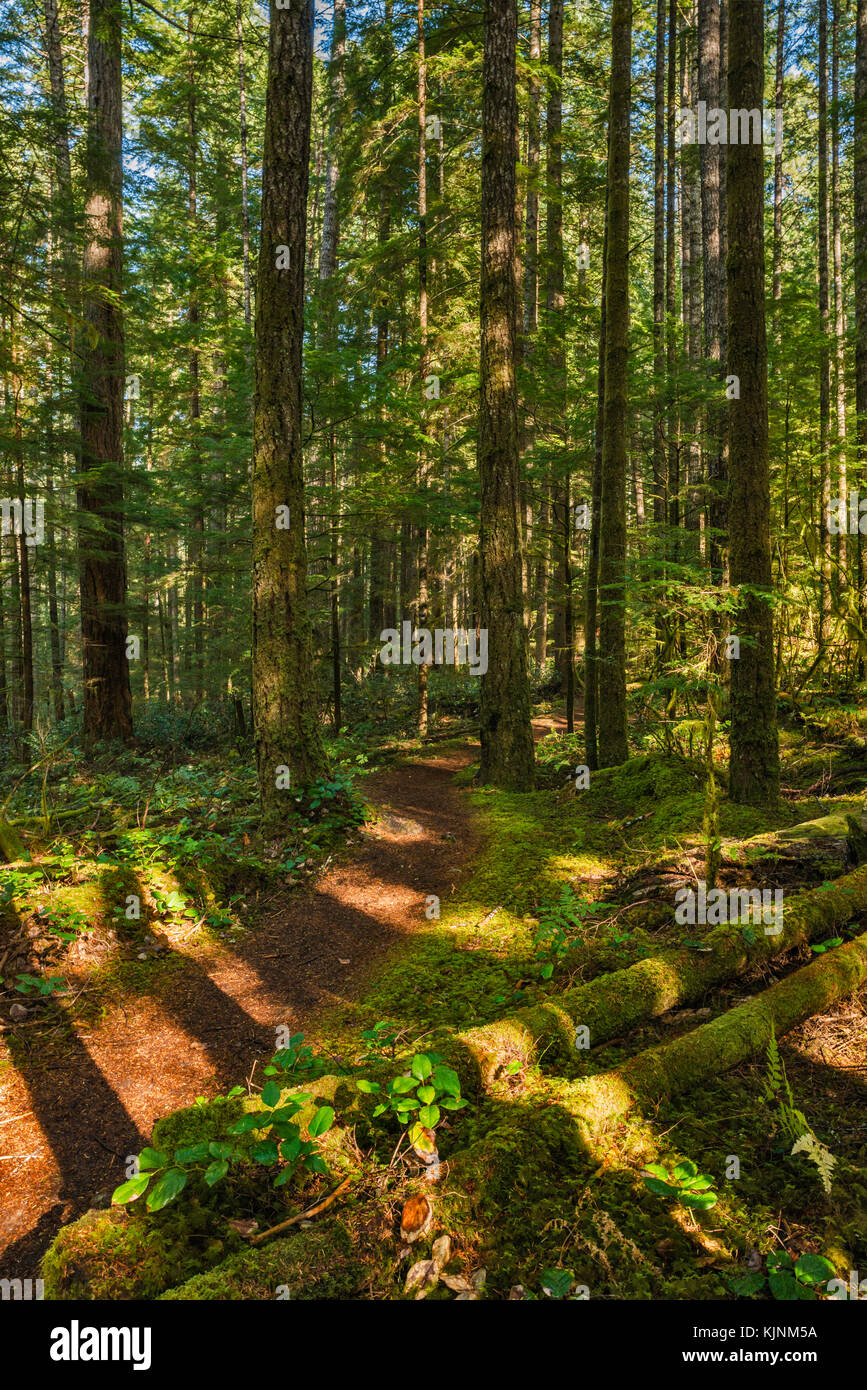 Homestead Trail, part of Community Centre Trail System, temperate