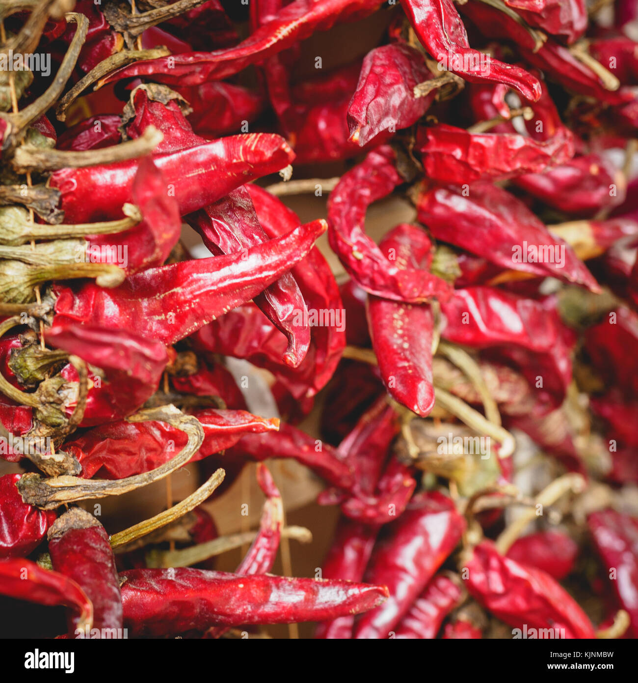 White peppers hungary hi-res stock photography and images - Alamy