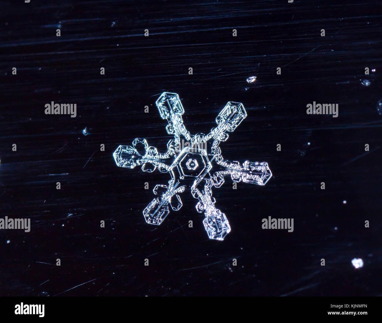 natural snowflakes, photo real snowflakes during a snowfall Stock Photo ...