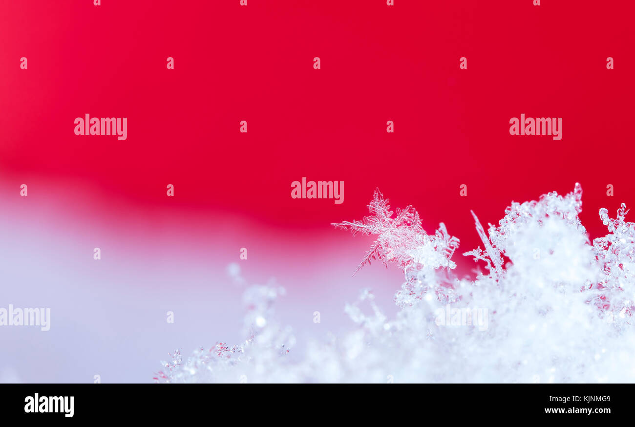 natural snowflakes on snow, photo real snowflakes during a snowfall