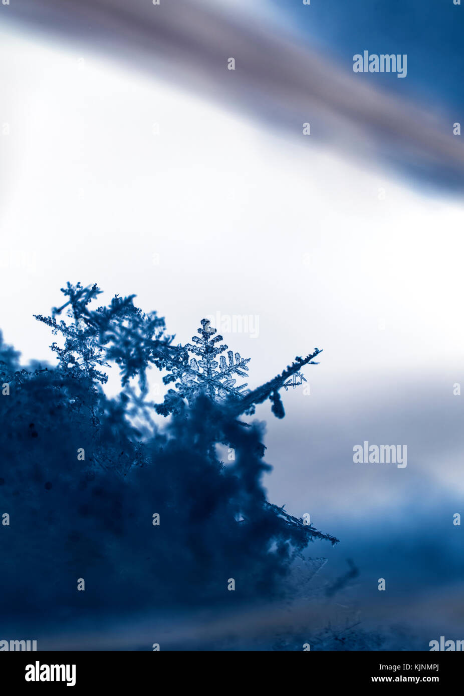natural snowflakes on snow, photo real snowflakes during a snowfall