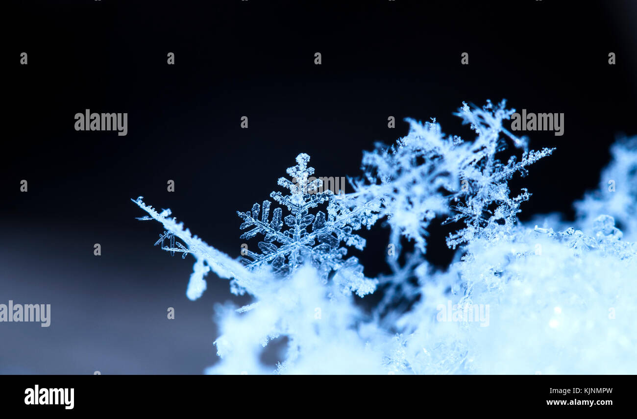 natural snowflakes on snow, photo real snowflakes during a snowfall